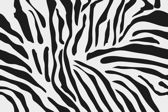 Seamless Zebra Skin Pattern, Background Texture