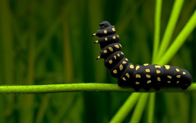 black caterpillar close green background , worm in nature, baby butterfly on leaf , sleep and stand on leaf 3D rendering 