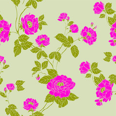 Seamless pattern with roses flowers