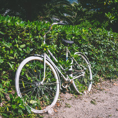 Fototapeta na wymiar White vintage road bike placed in a bushes