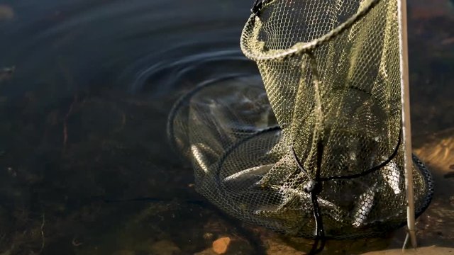 a fishpond with a fish caught in the river