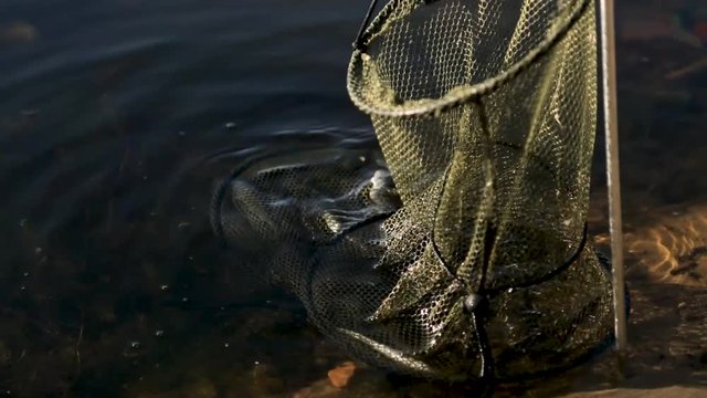 a fishpond with a fish caught in the river