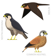 Fototapeta premium Bird Falcon Set Cartoon Vector Illustration