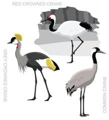 Bird Crane Set Cartoon Vector Illustration