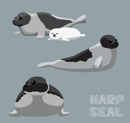 Harp Seal Cartoon Vector Illustration