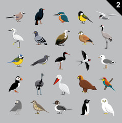 Various Birds Cartoon Vector Illustration 2