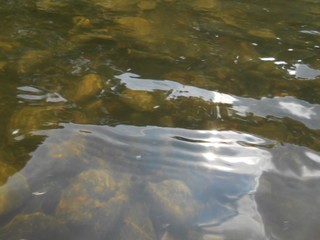 камни под водой реки летом