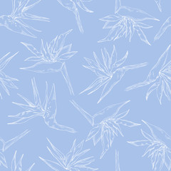 Seamless pattern of linear strelitzia collection. Vector exotic flowers of a paradise bird. Sketch style. Template for cloth, poster, packing design, web design. Tropical concept