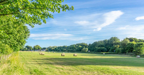 An Ayrshire Medow with hay Rolled for Winter Feed.