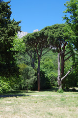 ALUPKA, CRIMEA-June, 2018:  Garden in Vorontsov Palace