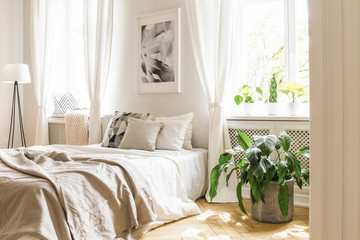 Plant next to bed with pillows and blanket under poster in bedroom interior with lamp. Real photo