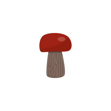 Porcini mushroom with brown cap isolated on white background - seasonal autumn raw food element for natural design in flat style. Vector illustration of ripe boletus edulis.