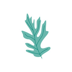 Green plant leaf - natural floral element for design in flat style. Botanical decoration of tree or flower foliage isolated on white background - vector illustration of abstract herbal object.