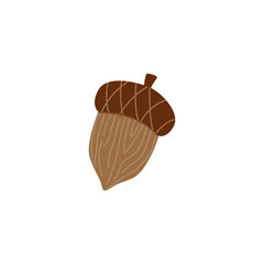 Mature brown acorn - oak nut for seasonal autumn design in flat style. Vector illustration of tree seed and animal food - fall natural decorative element isolated on white background.