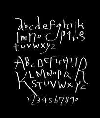 벡터 문자 / 손으로 쓴 글씨체