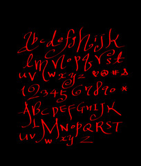 벡터 문자 / 손으로 쓴 글씨체