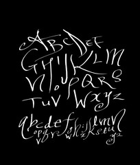 벡터 문자 / 손으로 쓴 글씨체