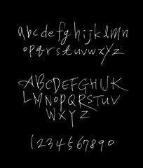 벡터 문자 / 손으로 쓴 글씨체