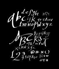 벡터 문자 / 손으로 쓴 글씨체