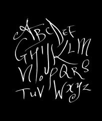 벡터 문자 / 손으로 쓴 글씨체