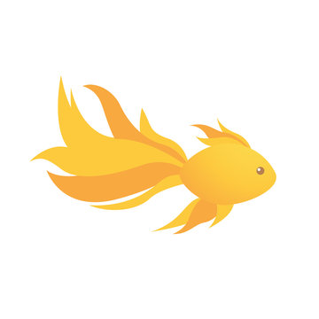 Golden fish