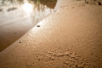 Strand