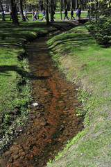 Obraz premium creek in the park, landscape design