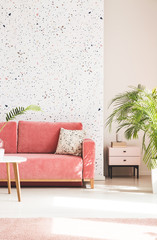Plant next to pink couch with pillow in living room interior with patterned wallpaper. Real photo