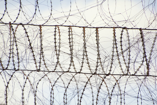 Barbed wire and blue sky in the background. Close-up