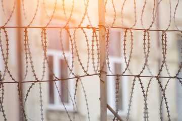 Barbed wire and windows of a building in the background. Close up