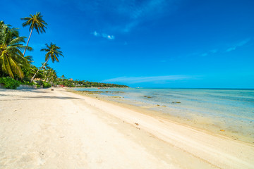 Beautiful tropical beach sea and sand with coconut palm tree on blue sky and white cloud