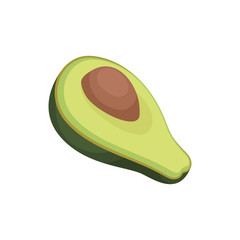Avocado, source of edible oil vector Illustration on a white background
