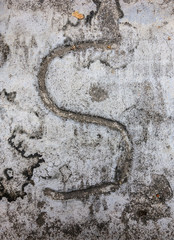 Written Wording in Distressed State Typography Found Letter S