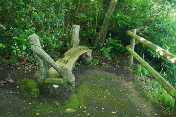Old wooden bench in the city park