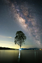 the beautiful milky way above a tree standing in the water. the beautiful stars in Thailand.
