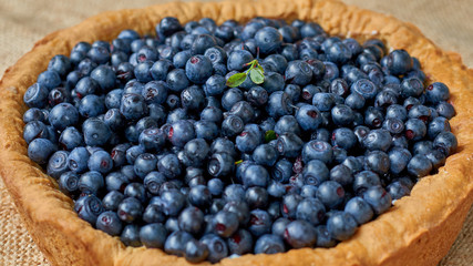 Homemade baked blueberry pie ready to eat. Summer tart with fresh berries. Food background. Close up view