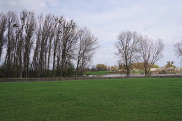 Fototapeta na wymiar green field and big trees in the distance