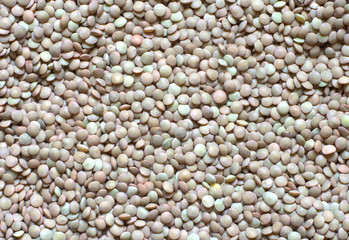 le lenticchie secche una tradizione italiana