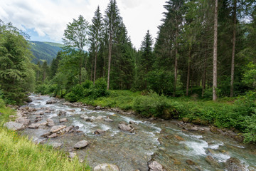 Kleiner Bach in idylischer Wiesen und Waldlandschaft