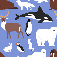 Arctic animals cartoon vector polar bear or penguin character collection with whale reindeer and seal in snowy winter antarctica set seamless pattern background