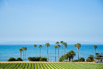 Amazing view by the ocean in sunny California