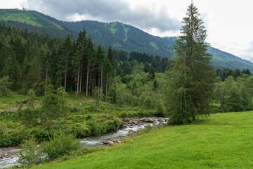 Obraz premium Kleiner Bach in idylischer Wiesen und Waldlandschaft