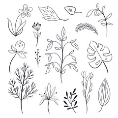 Satz Blätter und Pflanzen, isoliert auf weißem Hintergrund