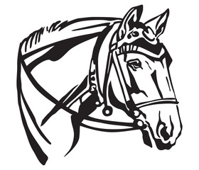 Decorative portrait of horse with bridle vector illustration