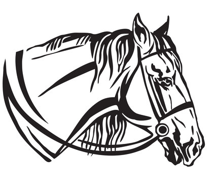 Decorative portrait of horse in profile with bridle vector illustration