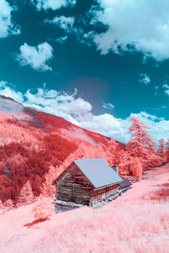 Surreal Apls in Infrared Photography