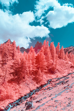 Surreal Apls in Infrared Photography