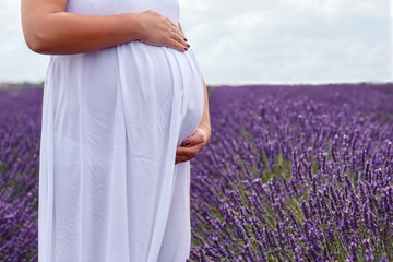 Belly of pregnant woman in a lavender field.