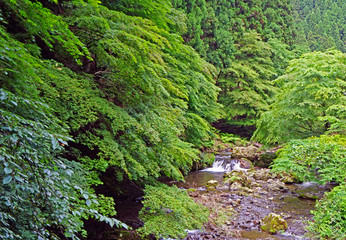 Natural waterfall, river, bridge, tree and plant in Japan mountain