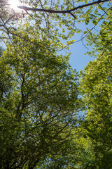 Obraz premium no title